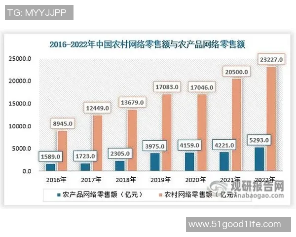 数据分析揭示JDG选手个人能力表现的深度解读与趋势分析