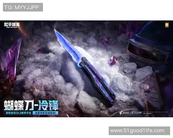 深度对话：探索赵丽在和平精英中的成长与人生哲学