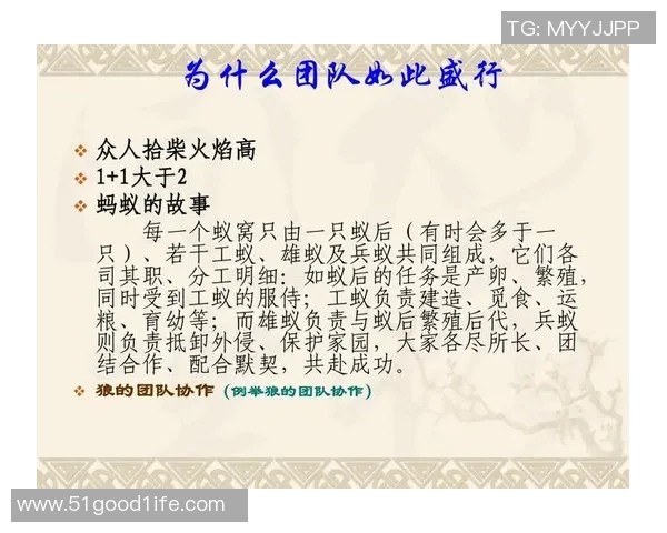 西安足球队团队协作的力量与精神探索之旅